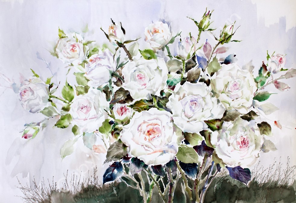 00024(55x79cm).jpg