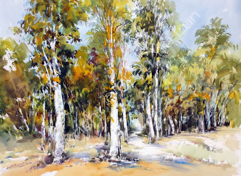 00030(56x76cm).jpg