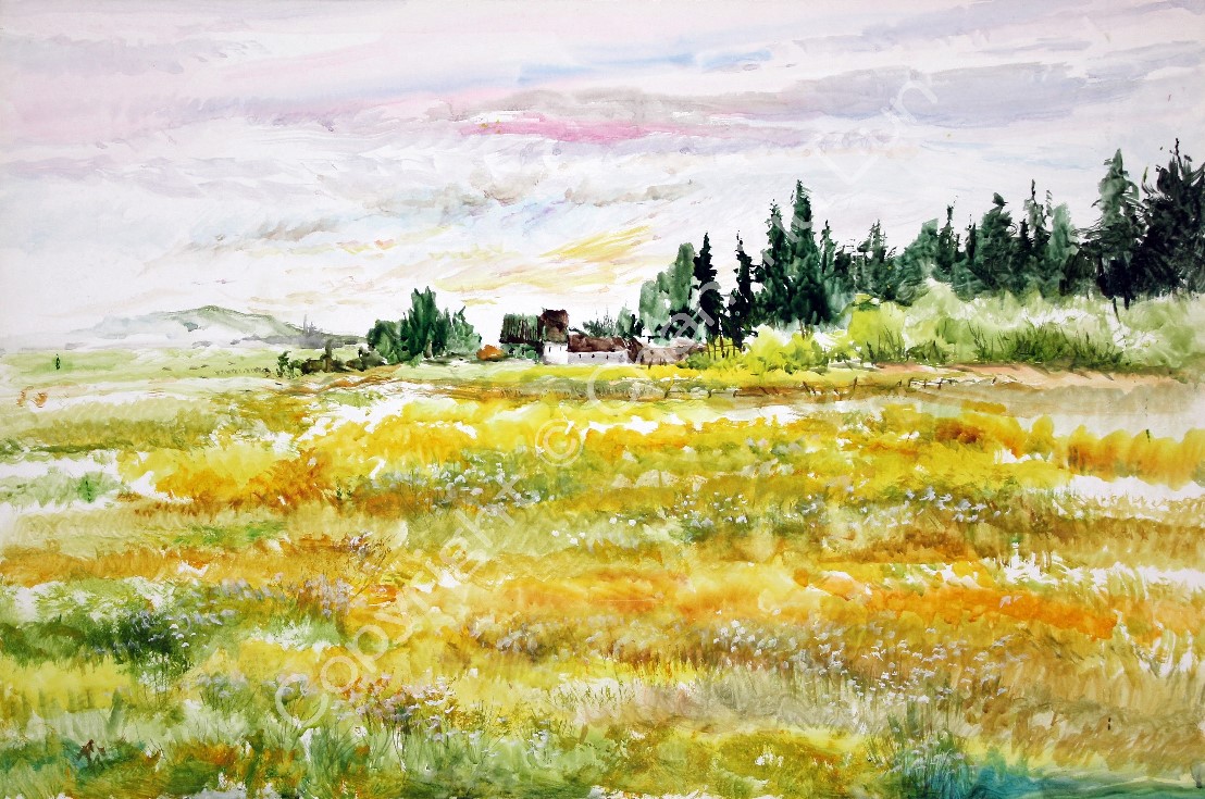 00034(76x50cm).jpg