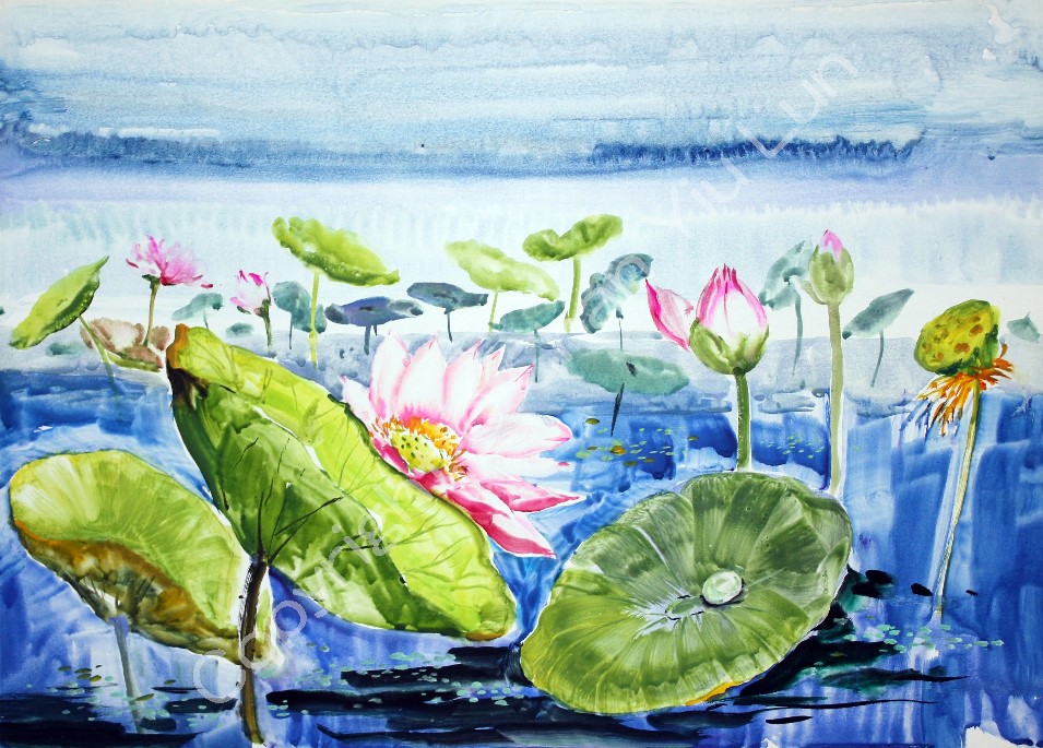 00041(70x50cm).jpg