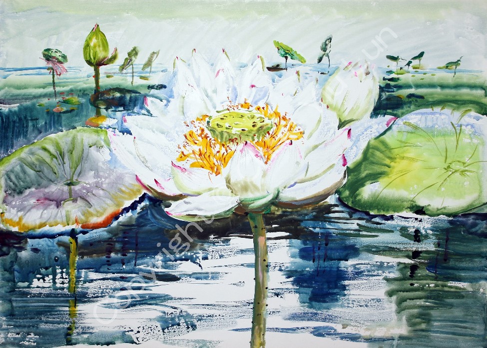 00047(70x50cm).jpg