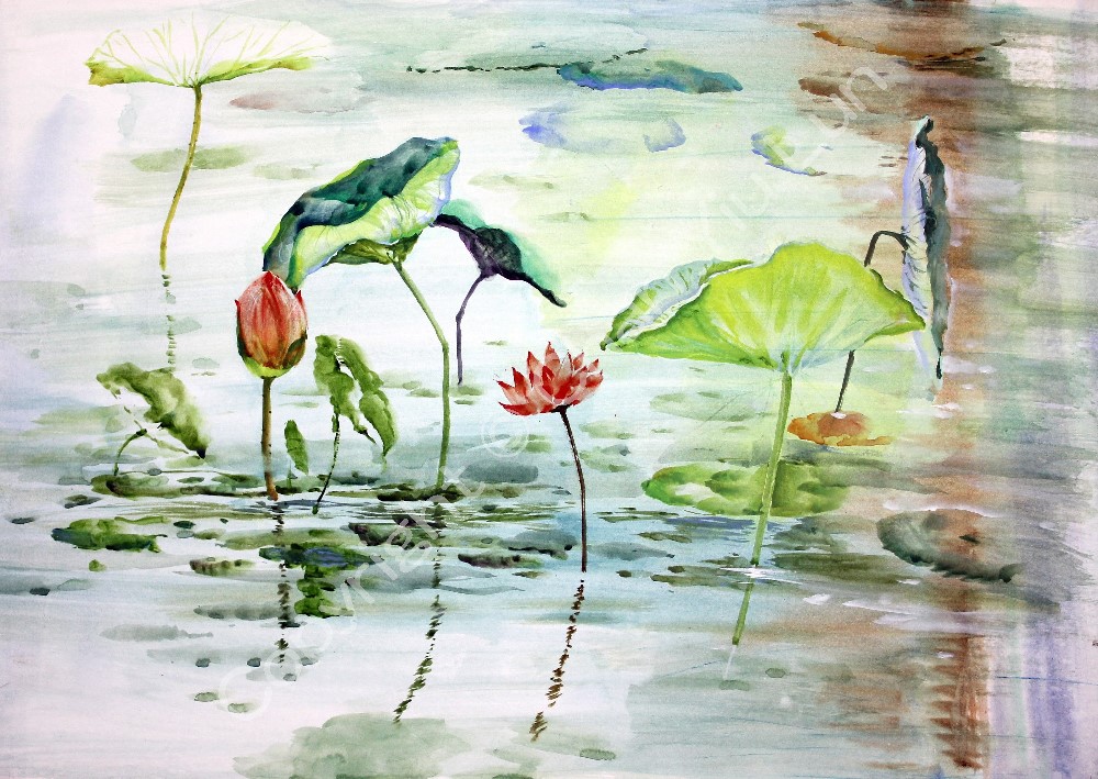 00057(71x51cm).jpg