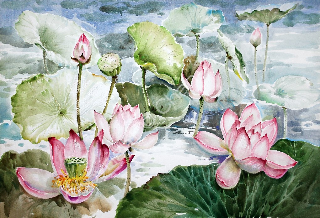 00062(78x54cm).jpg