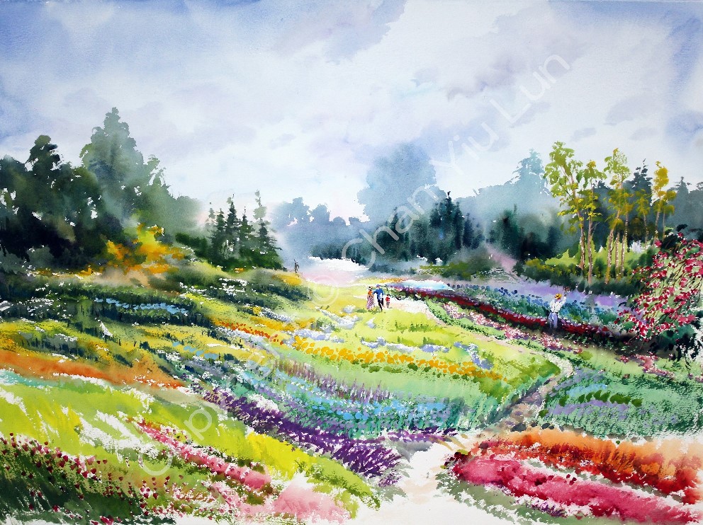 00063(75x56cm).jpg