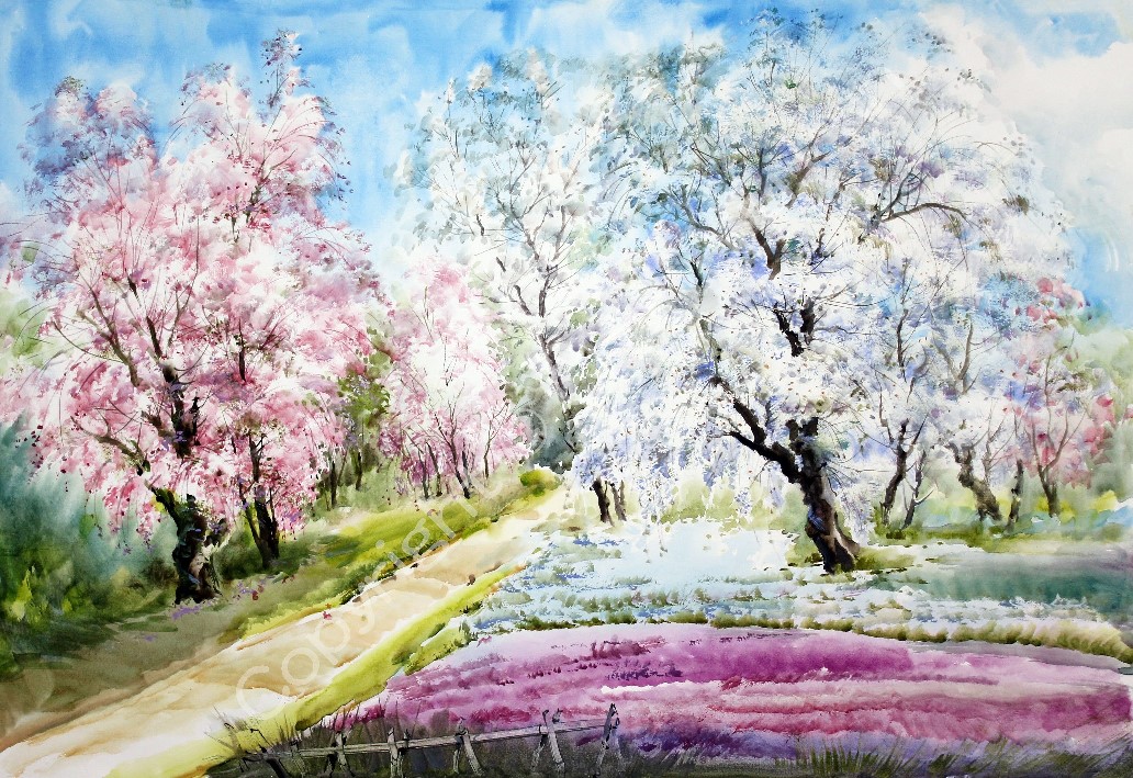00069(79x54cm).jpg