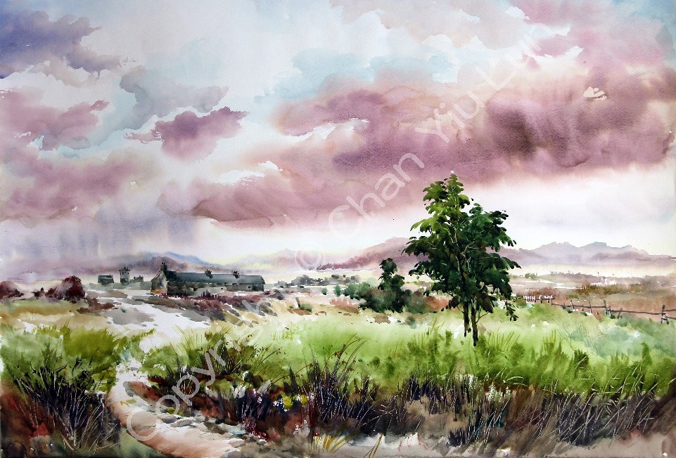 00082(79x54cm).jpg