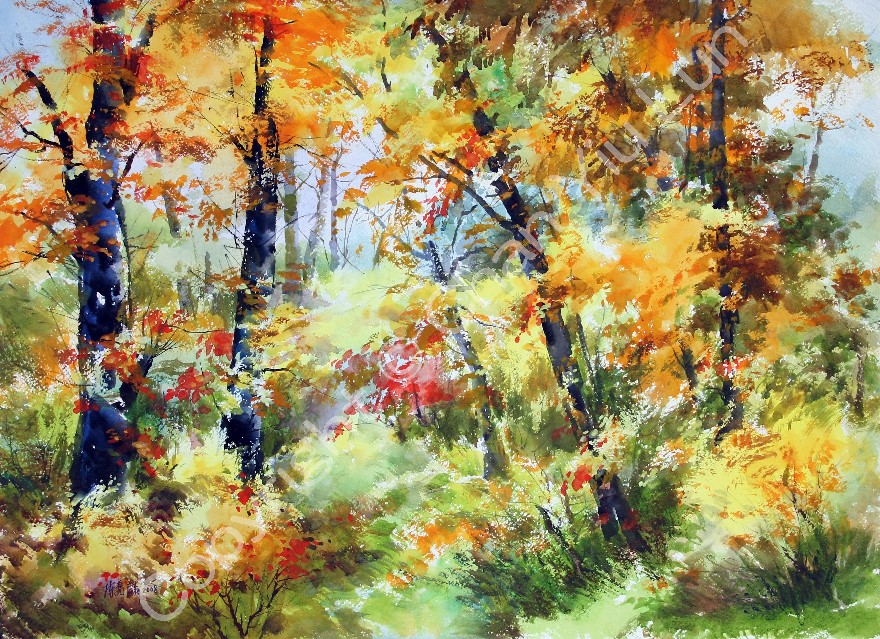 00084(76x56cm).jpg