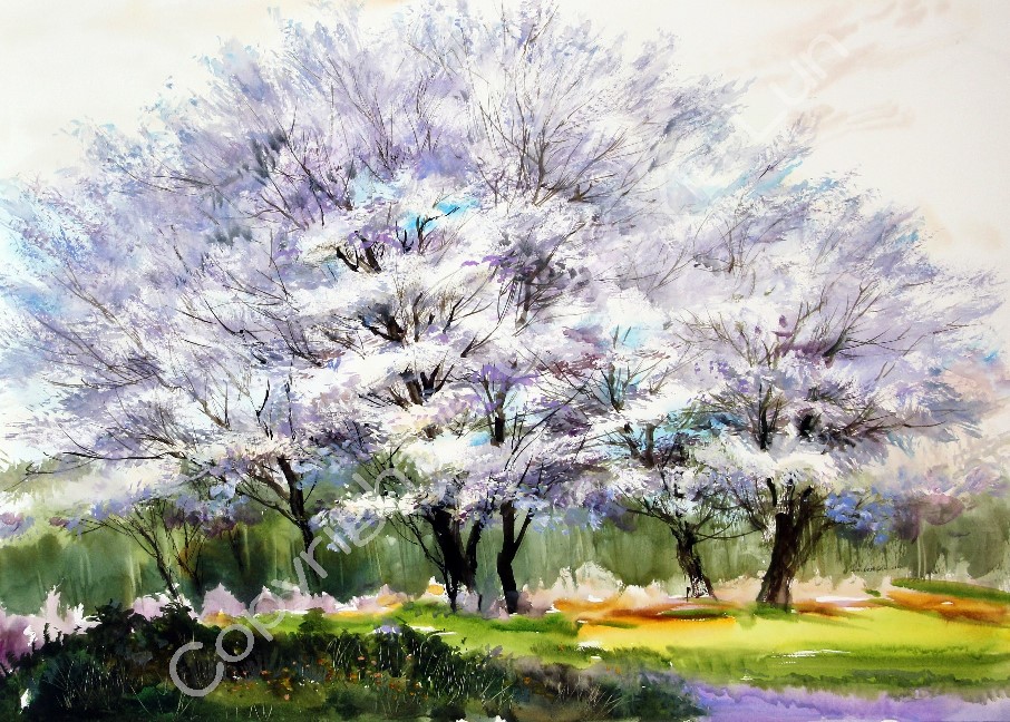 00127(75x54cm).jpg